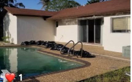 Pool Deck & Landscape